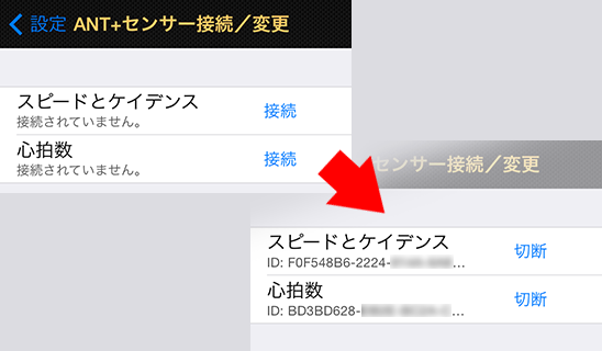 iPhone Image 1